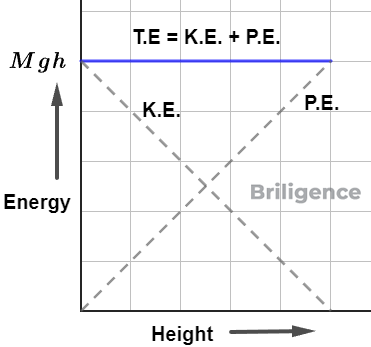 Principle of Conservation of Energy Principle of Conservation of Energy