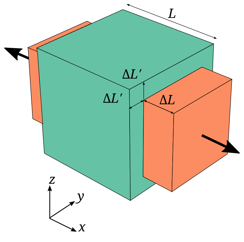 Poisson’s Ratio Poisson’s Ratio